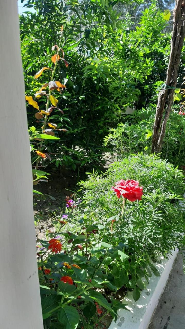 Guest House Emi Берат Екстериор снимка