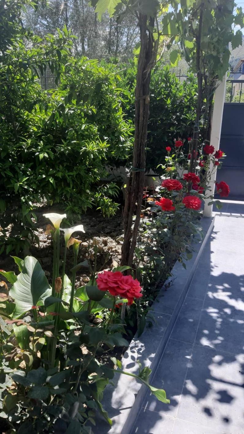 Guest House Emi Берат Екстериор снимка